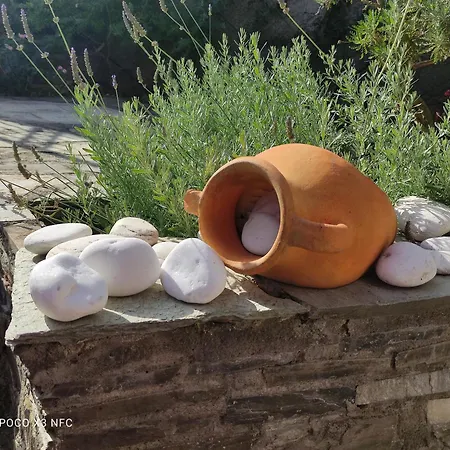 Mesonisi Maisonette Feriehus Afissos